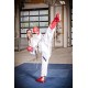 Кимоно Каратэ Hayashi Premium Kumite аккредитован WKF