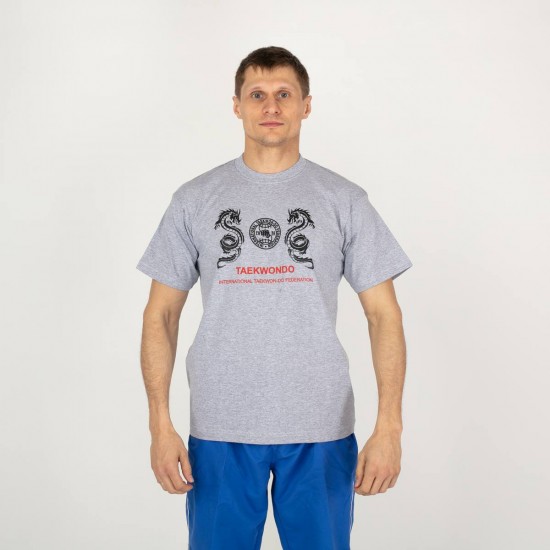 Футболка MAXPRO Драконы -серая